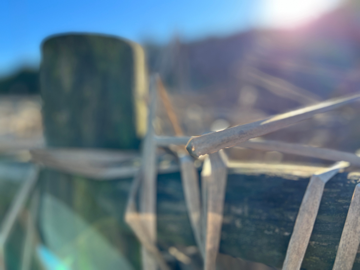 Imagen desenfocada de tronco de madera con paja, con contraluz del sol y efectos de este. 
Foto: ©Asun Adá